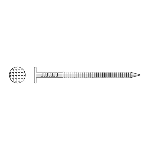 Simpson Strong-Tie S5SNDW5 - 5d 1-3/4" 14Ga 304SS Siding Nail White 5lb
