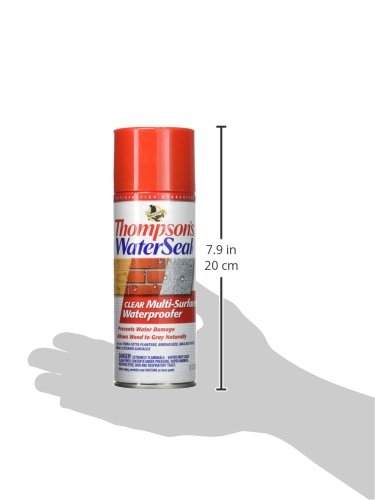 Thompson’s WaterSeal Multi-Surface Waterproofer Stain, Clear, 12 oz Aerosol Can - size: 12 Ounce (Pack of 1)