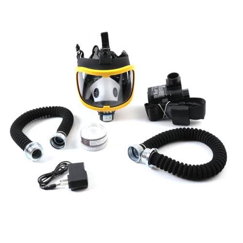 Full Face Respirator, Protective Mask with Air Pump for Gases Dust Chemicals Paint, Powered Respirator, 110ma-300ma 62 L/min 74 L/min Air Supply Flow