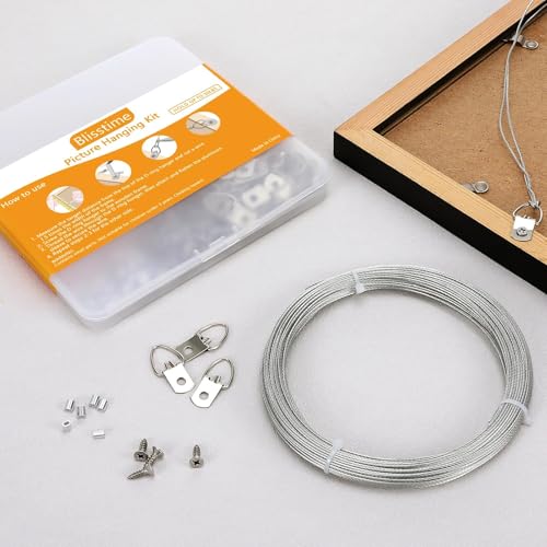Blisstime 181 Pcs Picture Hanging Kit for Canvas Paintings, Photo Frames