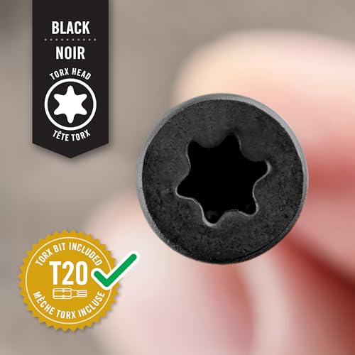 Nuvo Iron #8 Screw, 2 1/2”, Torx Head, Black, 250 Count