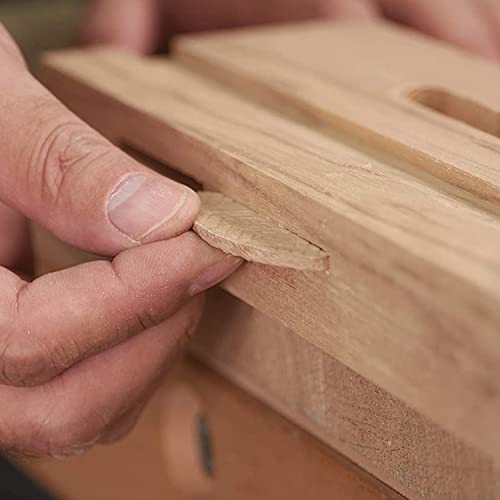 Trend 1000pcs Beechwood No. 20 Joining Biscuits for Woodworking, Consistent Fit for Biscuit Joiners, Furniture, Cabinetry and Panel Joining, BSC/20/1000 - size: 20, style: 1,000 Pack