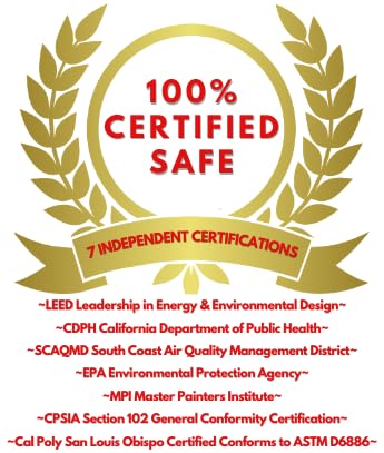 Earth Safe FInishes Preserver Sealer for All Surfaces (Wood, Concrete, Brick, Terra Cotta, etc) Durable, Non Toxic, Non Flammable, No VOC, Made in USA (Preserver/Sealer, 32oz) - size: 32oz