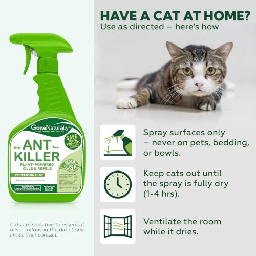 Ant Killer – Indoor & Outdoor Ant Killer Spray for Carpenter, Pavement & Little Black Ants – Peppermint Oil Ant Spray & Ant Repellent for Home – Safe Around Kids & Pets (16oz) - size: 16 Fl Oz (Pack of 1)