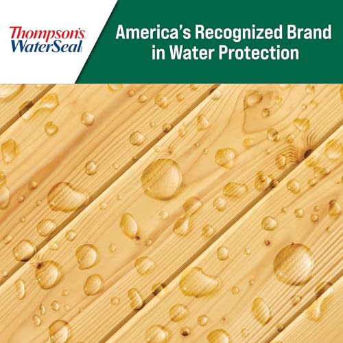 Thompson's WaterSeal Clear Wood Sealer, Clear, 1 Gallon