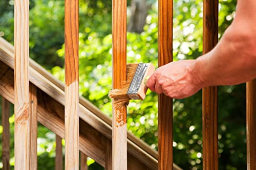 Magimate 6 Inch Extra Wide Block Paint Brush for Walls, Masonry & Dusting - size: 6 inch