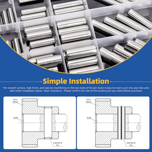 Glarks 60pcs 6/8/10mm Dowel Pins Kit, 12 Sizes 304 Stainless Steel Cylindrical Shelf Support Peg Pin Fasten Elements, Wood Bunk Bed Dowel Pins Shelf Pegs for Cabinet and Furniture Installation - size: M6 M8 M10