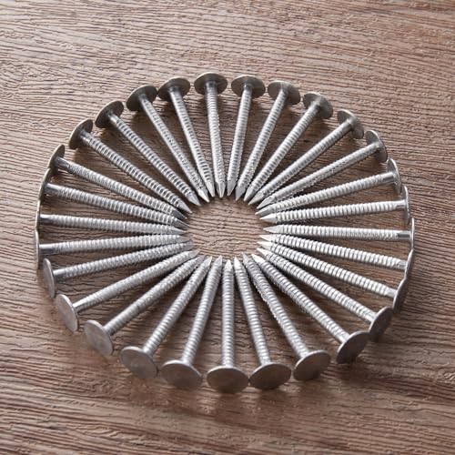 Tandefio 500 Pcs Aluminum Roofing Nails 1-3/4 Inch Aluminum Siding Rustproof Cap Nails to Fasten Asphalt Shingles Roofing Felt Insulation Board Wood Decking Fascia - size: 1-3/4 Inch