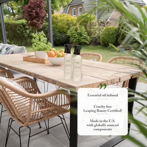 Bayes High Performance Teak Cleaner & Restorer - Cleans, Shines, and Protects - Maintains Fine Teak and Restores Neglected Teak - 16 oz - size: 16 Fl Oz (Pack of 1)