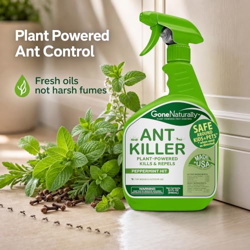 Ant Killer – Indoor & Outdoor Ant Killer Spray for Carpenter, Pavement & Little Black Ants – Peppermint Oil Ant Spray & Ant Repellent for Home – Safe Around Kids & Pets (32oz) - size: 32 Fl Oz (Pack of 1)