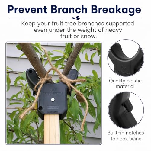 Tree Branch Crutch – Prevent Broken Limbs - Pole Sold Separate (10-Pack) - color: Crutch Only, size: 10-Pack