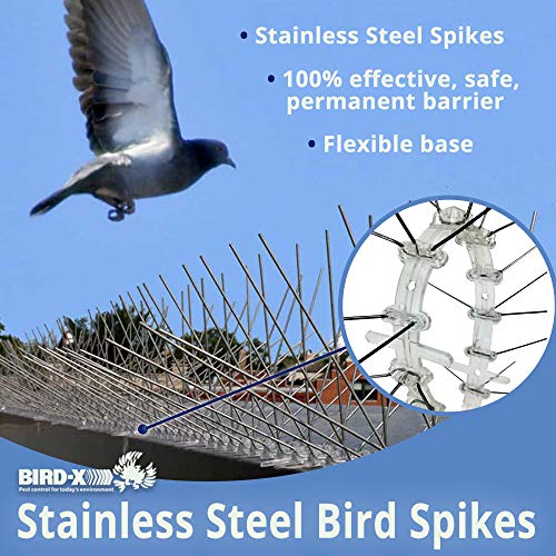 Bird-X Steel Spikes for Pigeons Sparrows Starlings 50-Foot Range 8-Inch - size: 50 feet