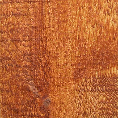 Wood Defender Transparent Fence Stain and Seal, Redwood, 1-Gallon - color: Redwood, size: 1 Gallon