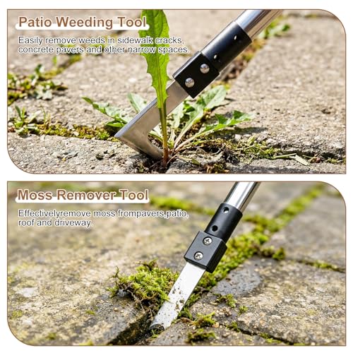 Crack Weeder Tool Long 63", Moss Remove Brush with 2 Brush and 2 Scraper