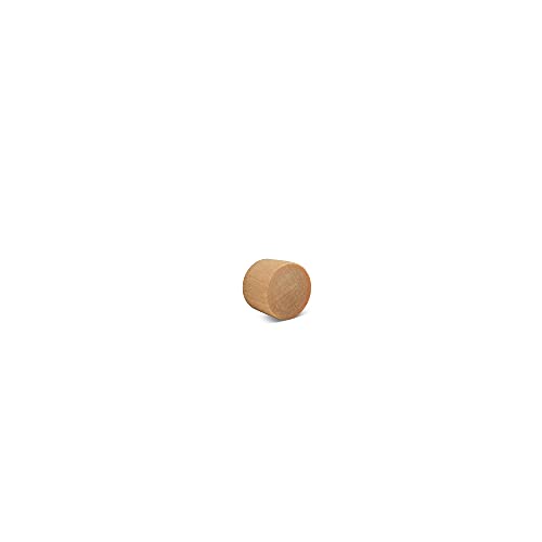 Wood Plugs for Furniture, 5/16 inch Maple Flat-Head Plug, Wooden Screw-Hole Plug Covers Pack of 250 by Woodpeckers - size: 5/16 inch