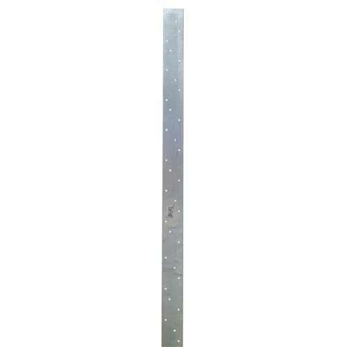 Simpson Strong-Tie MSTI48 MSTI 48 in. 12-Gauge Galvanized Medium Strap Tie (Pack of 10)