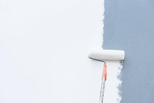Evolve Stain Blocking Primer & Sealer, 1 Gallon – Interior & Exterior, Multi-Surface, High-Performance Stain & Odor Blocker, Excellent Adhesion, Low VOC, Fast Drying - size: 1 Gallon