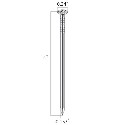 Wensilon (19 pcs)4 inch Stainless Steel 304 Nails, Hanging Nails, Wall Nails, Dowels, Long Nails - color: Ss, size: 4