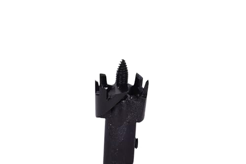 Century Drill & Tool 38316 Self-Feed Wood Bit, 1" - size: 1"