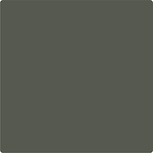 Rodda Paint CASCADIA XL Exterior Satin All Seasons Paint & Primer in One, 1-Gallon, Cypress - color: Cypress, size: 128 Fl Oz (Pack of 1)