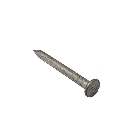 1 1/2" x 10G Joist Hanger Nails | Hot Dip Galvanized Steel | 2.2lb / 1kg per Box