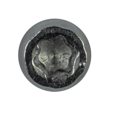 Simpson Strong-Tie DCU2C316 Deck-Drive DCU Composite Screw — #10 x 2 in. T20, Type 316 (70-Qty)