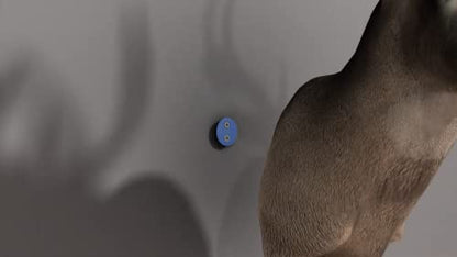 Shoulder Mount Flush Taxidermy Kit. The Most Secure Way to Hang Your Mount.