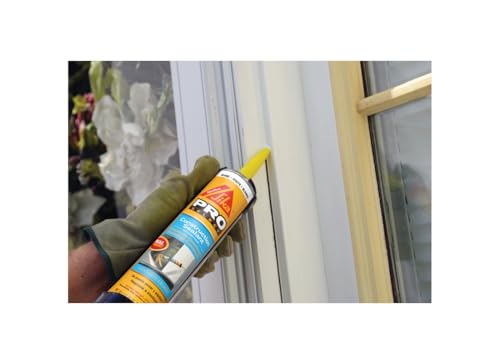 Sika Corporation C437529 Sikaflex Construction Sealant