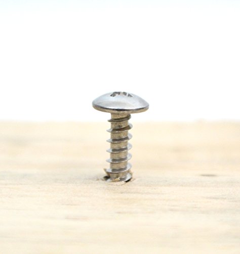 Bolt Dropper #10 x 2 inch Stainless Truss Head Phillips Wood Screw (Set of 100), 18-8 (304) Stainless Steel Screws, ssd Screws - size: #10 x 2"