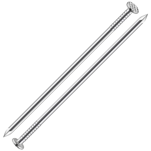 Wensilon (7 pcs)6 inch Stainless Steel 304 Nails, Hanging Nails, Wall Nails, Dowels, Long Nails - color: Ss, size: 6