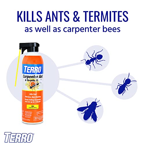 TERRO T1901-6 Ready to Use Indoor and Outdoor Carpenter Ant, Termite, and Carpenter Bee Killer Aerosole Spray - 16 Ounces - style: 1 Pack