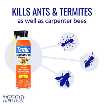 TERRO Ready to Use Indoor and Outdoor Carpenter Ant, Termite, and Carpenter Bee Killer Aerosol Spray - T1901SR - 2 Pack, 32 Total Ounces - style: 2 Pack