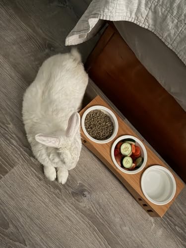 Elevated Pet Feeder Stand Three Bowls, Bamboo Wood, Small to Medium Pets