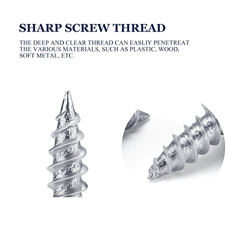 LONTAN 100 Pack #8 x 1/2" Phillips Truss Head Screws