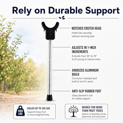 Tree Branch Support Pole & Crutch – Protect Limbs from Breaking (2-Pack) - color: Crutch & Post Set, size: 2-Pack