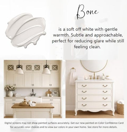 ALL-IN-ONE Paint by Heirloom Traditions, Bone, 8oz Sample - color: Bone, size: 8 Fl Oz (Pack of 1)
