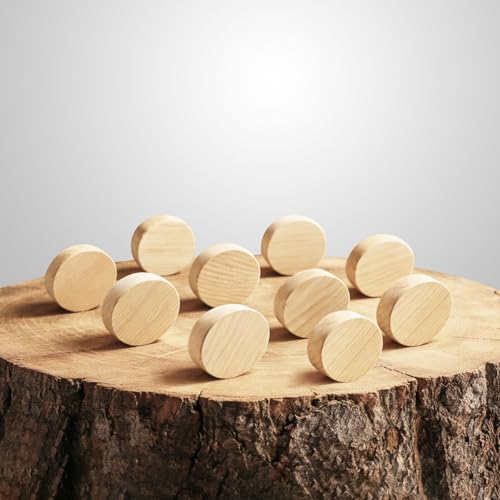 Tolux Wooden Plugs 20 mm (0.79"), Wood Screw Hole Plugs, 20 × 9 mm (0.79 × 0.35"), 40 pcs - size: 20x9 mm/ 0.79x0.35 in