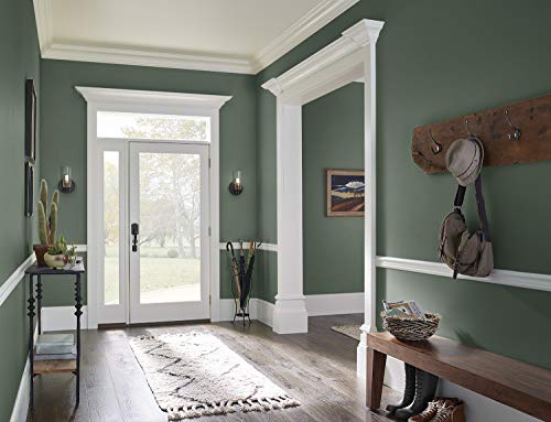 KILZ TRIBUTE Paint & Primer, Interior, Eggshell, American Pine, 1 Gallon - color: AMERICAN PINE, size: 128 Fl Oz (Pack of 1)
