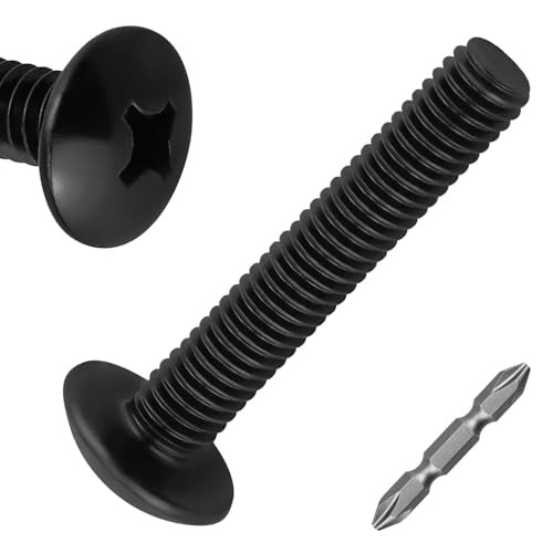 100pk M4 x 20mm Black Truss Head Machine Screws, 304 SS + Bit - size: M4-0.7 x 20mm