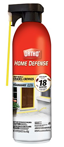 Ortho Home Defense Insect Killer for Cracks & Crevices, 16 oz. - color: Spray Foam (1-Pack)