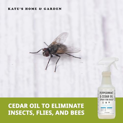 Kate's Home & Garden Peppermint Oil Spray for Bugs, Ants, Spiders (32oz) - size: 32 Fl Oz (Pack of 1)