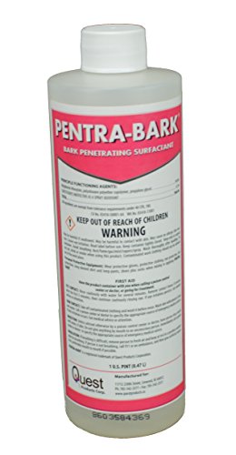 Pentra-Bark Penetrating Surfactant (16oz/1 Pint)