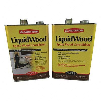 Wood Hardener 2 gal. Can