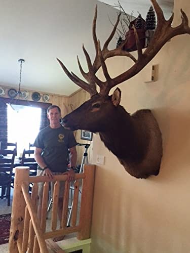 Shoulder Mount Flush Taxidermy Kit. The Most Secure Way to Hang Your Mount.
