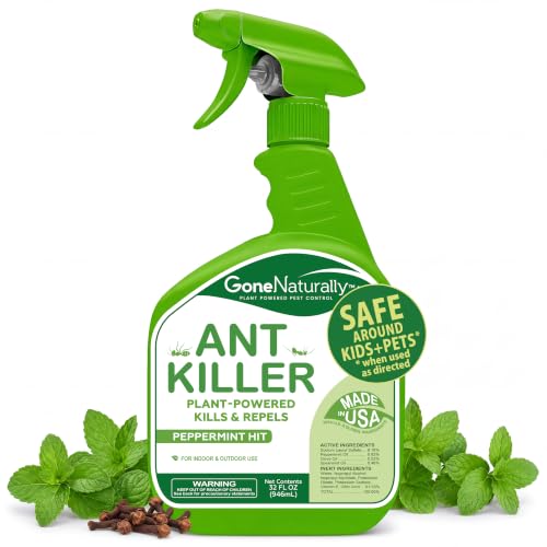 Ant Killer – Indoor & Outdoor Ant Killer Spray for Carpenter, Pavement & Little Black Ants – Peppermint Oil Ant Spray & Ant Repellent for Home – Safe Around Kids & Pets (32oz) - size: 32 Fl Oz (Pack of 1)