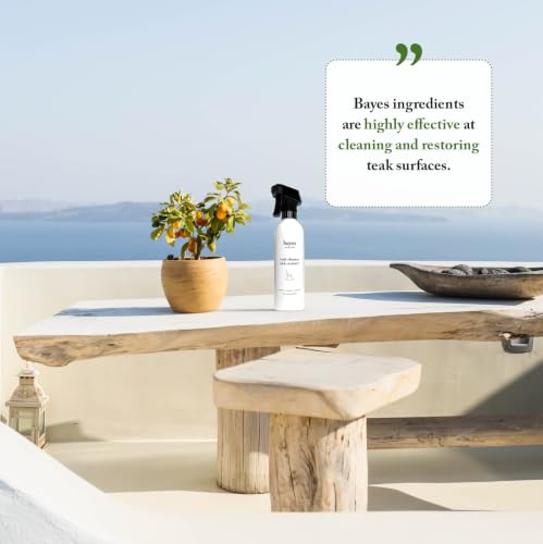 Bayes High Performance Teak Cleaner & Restorer - Cleans, Shines, and Protects - Maintains Fine Teak and Restores Neglected Teak - 16 oz - size: 16 Fl Oz (Pack of 1)
