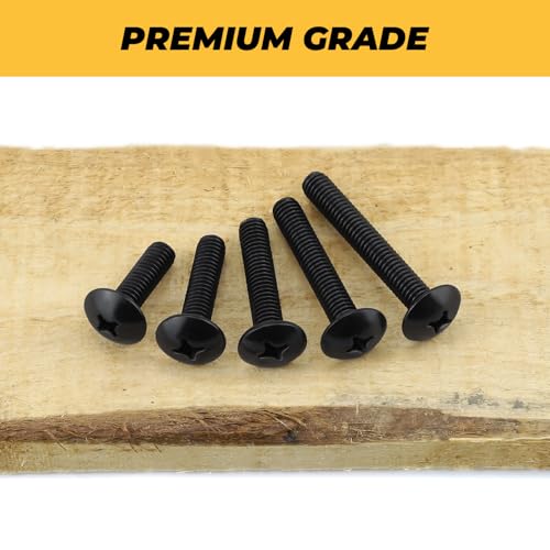 100pk M5 x 12mm Black Truss Head Machine Screws, 304 SS + Bit - size: M5-0.8 x 12mm