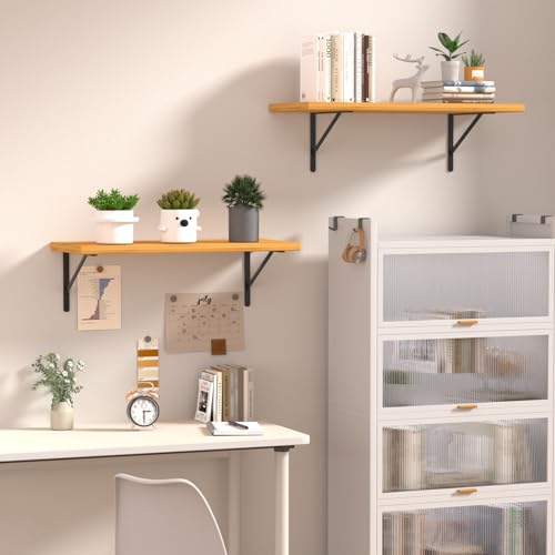 4 Pack L18 x H 12" Black Heavy Duty Shelf Brackets with Screws Metal Shelf Brackets Shelf Support Angle Brackets for Shelves L Brackets Heavy Duty Floating Shelf - size: 18''x12'', style: 4 Pack-Black