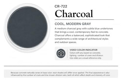 Cement Stain Concentrate - Charcoal (8 Ounce) - color: Charcoal, size: 8 ounce