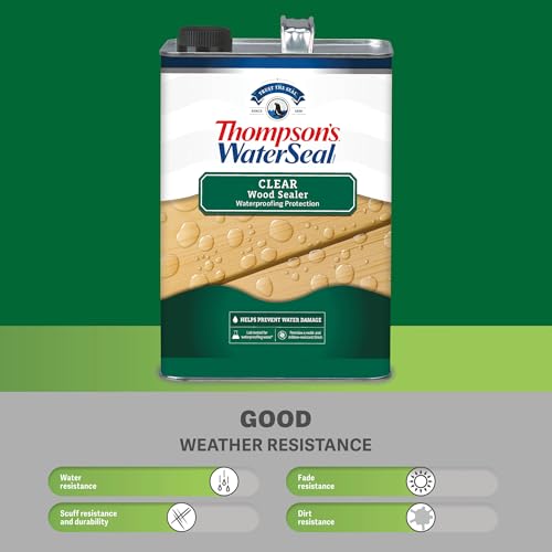 Thompson's WaterSeal Clear Wood Sealer, Clear, 1 Gallon